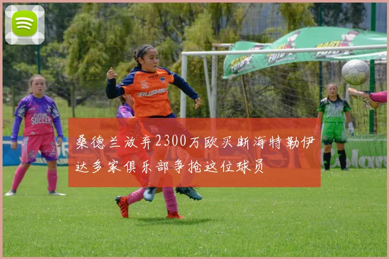桑德兰放弃2300万欧买断海特勒伊达多家俱乐部争抢这位球员
