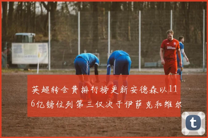 英超转会费排行榜更新安德森以116亿镑位列第三仅次于伊萨克和维尔茨